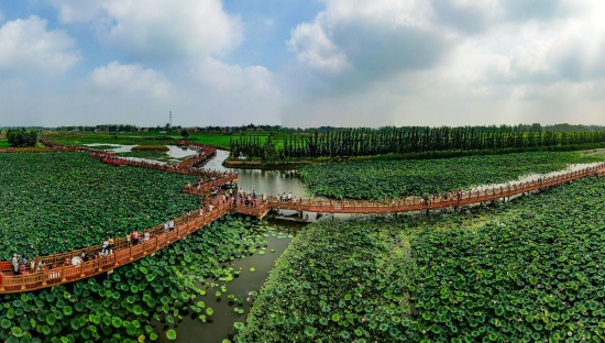 （菏澤市曹縣黃河故道濕地風(fēng)景區(qū)。圖片來源：菏澤市攝影家協(xié)會）
